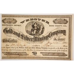 Webster Gold & Silver Mining Company Stock
