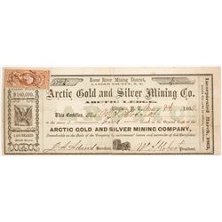Arctic Gold & Silver Mining Company Stock