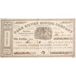 Park Silver Mining Company Stock