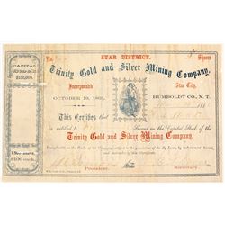 Trinity Gold & Silver Mining Company Stock