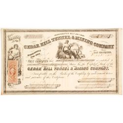 Cedar Hill Tunnel & Mining Company Stock