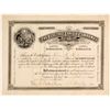 Image 1 : Electric Candle Company Stock