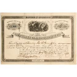 New York & Camalote Mining Company Stock