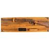 Image 1 : PONCHO VILLA RAID RIFLE