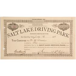 Salt Lake Driving Park Stock