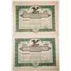 Image 1 : Springfield Transportation Co. Stock (2)