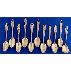 National Park Silver Spoons (11)