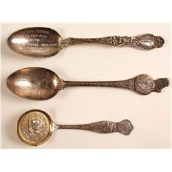 Pan American Exposition Souvenir Spoons