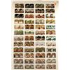 Image 1 : Stereoviews, Uncut Sheet of (48)