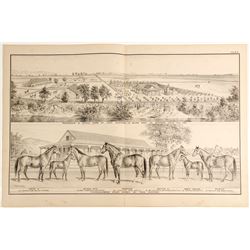 Lithograph: Stock Farm of Theo. Winters