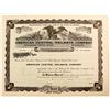 Image 1 : American Central Railways Company