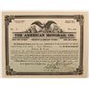 Image 1 : American Monorail Company  stock