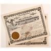 Image 1 : Castle Valley Railroad Company Stock Certificate (2)