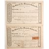 Image 1 : Flint & Pere Marquette Railway Co Stock