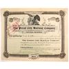 Image 1 : Forest City Railway Company stock