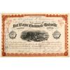 Image 1 : Fort Wayne, Cincinnati and Louisville Railroad Co