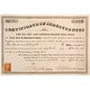 Image 1 : Oil City and Pithole Branch Rail Road Stock Certificate