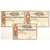 Image 1 : Raleigh & Gaston Railroad Company Stock Certificates