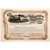 Image 1 : Red Mountain Railroad Mining & Smelting Co  Stock