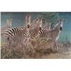 Image 1 : Framed Zebra Print