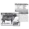 Image 1 : WB EVERELDA ENTENSE 821