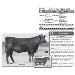 RICH CLOVA PRIDE 2128