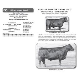 6 FROZEN EMBRYOS (GRADE 1 & 2)