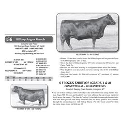 6 FROZEN EMBRYOS (GRADE 1 & 2)