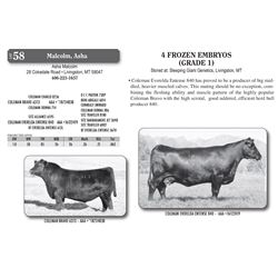 4 FROZEN EMBRYOS (GRADE 1)
