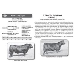 5 FROZEN EMBRYOS (GRADE 1)