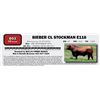 Image 1 : D02 - BIEBER CL STOCKMAN E116