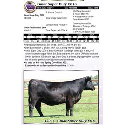 Gmar Super Duty E016