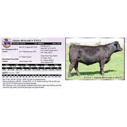 Gmar Resource F053