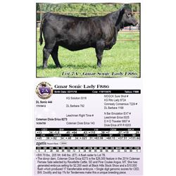 Gmar Sonic Lady F886
