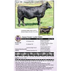 Gmar Sonic Lady F889