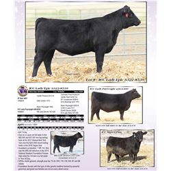 ICC Lady Epic 6322-8539