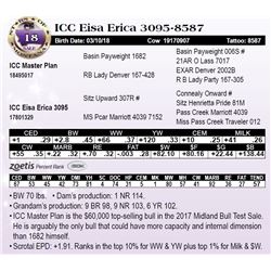 ICC Eisa Erica 3095-8587