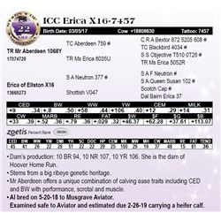 ICC Erica X16-7457