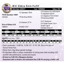 ICC Erica X16-7457