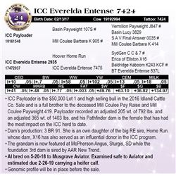 ICC Everelda Entense 7424