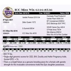 ICC Miss Wix 6316-8536