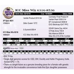 ICC Miss Wix 6316-8536