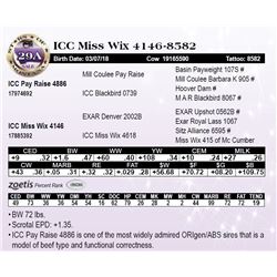 ICC Miss Wix 4146-8582