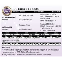 ICC Erica 614-8535