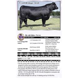 XLAR Rito 7231