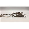 Image 3 : Buermann Bird Bit - Half Breed