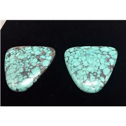 2 Large Spiderweb Turquoise Stones