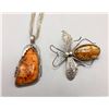 Image 1 : Amber Necklace and Dragonfly Pin