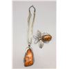 Image 2 : Amber Necklace and Dragonfly Pin