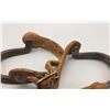 Image 8 : Kelly Bros. Style Chihuahua Spurs